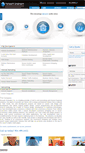 Mobile Screenshot of networkstrategics.com